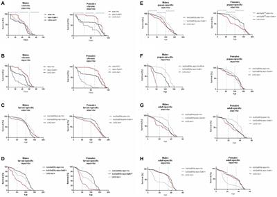 Changes in heme oxygenase level during development affect the adult life of Drosophila melanogaster